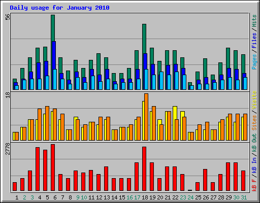 Daily usage for January 2010