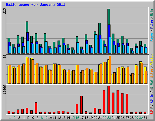 Daily usage for January 2011